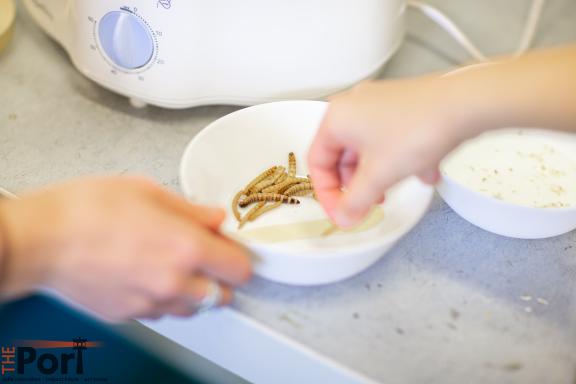 A bowl of larvae